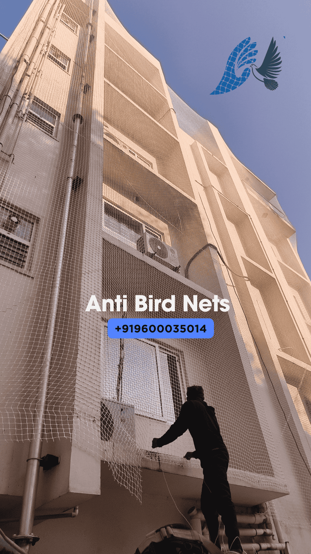 Anti Bird Nets